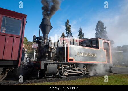 'Kaitangata' Forstdampflokomotive in Shantytown, nahe Greymouth, Westland, Südinsel, Neuseeland Stockfoto