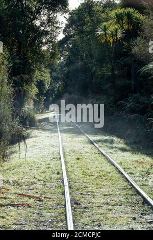 Eisenbahn durch Wald, Shantytown, in der Nähe von Greymouth, Westland, Südinsel, Neuseeland Stockfoto