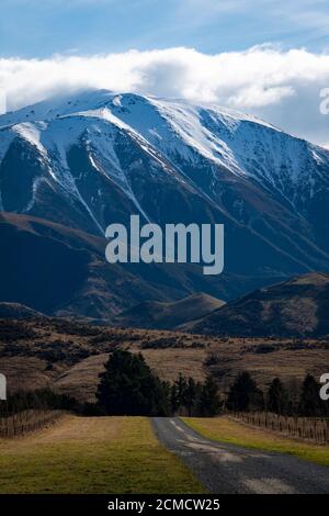 Schneebedeckte Berge, Castle Hill Peak, Springfield, Canterbury, Südinsel, Neuseeland Stockfoto