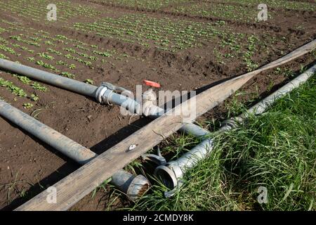 Bewässerungssystem auf einem Feld in der Nähe von Bornheim im Rhein-Sieg-Kreis, Deutschland. Stockfoto