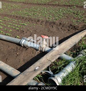 Bewässerungssystem auf einem Feld in der Nähe von Bornheim im Rhein-Sieg-Kreis, Deutschland. Stockfoto