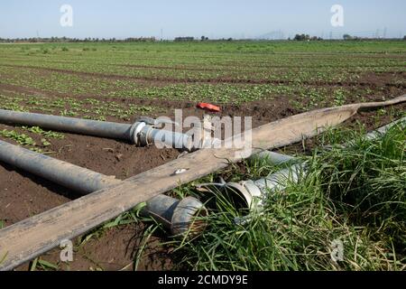 Bewässerungssystem auf einem Feld in der Nähe von Bornheim im Rhein-Sieg-Kreis, Deutschland. Stockfoto