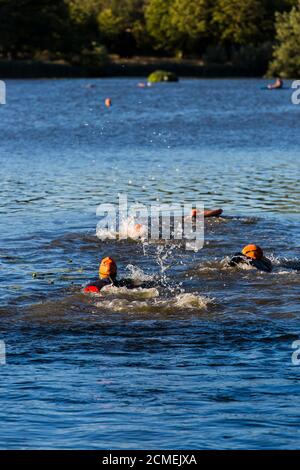 Schwimmen im Freien am Hever Castle Lake, Kent Stockfoto