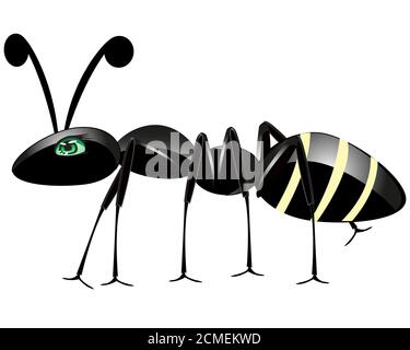 Insekt Ameise auf weiß Stockfoto