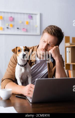 Nachdenklicher Geschäftsmann, der Jack russell Terrier Hund beim Sitzen ansieht Am Arbeitsplatz in der Nähe des Laptops Stockfoto