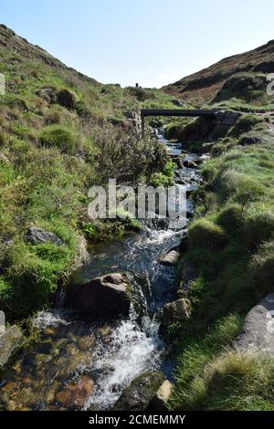 Bach am Hang Stockfoto