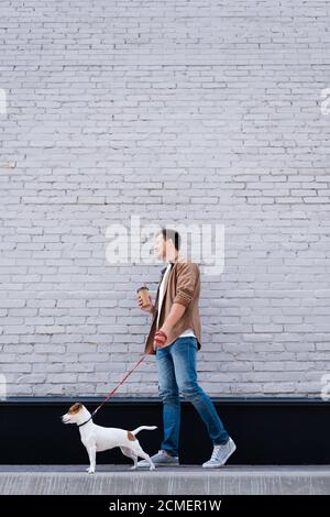 Blick aus der unteren Ecke auf den Mann mit Kaffee zu gehen zu Fuß jack russell Terrier an der Leine in der Nähe des Gebäudes Stockfoto