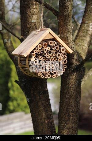 Hotel mit Holzwanzen für Insekten, die im Gartenbaum hängen Stockfoto