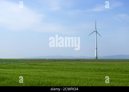 grüne Wiese mit Windkraftanlagen zur Stromerzeugung Stockfoto