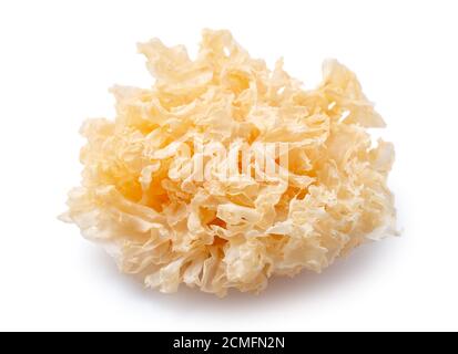 Getrockneter Schneepilz, auch bekannt als Schneeohr, weißer Gelee-Pilz, silberner Holz-Ohrpilz isoliert auf weißem Hintergrund, Schneideweg ausgeschnitten. Stockfoto