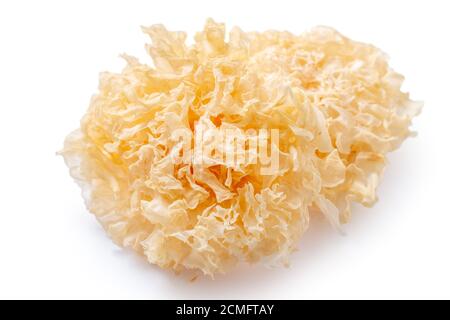 Getrockneter Schneepilz, auch bekannt als Schneeohr, weißer Gelee-Pilz, silberner Holz-Ohrpilz isoliert auf weißem Hintergrund, Schneideweg ausgeschnitten. Stockfoto