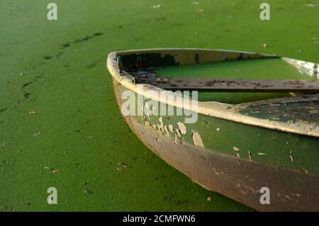 Teilweise abgesenkten festgemacht Holz Ruderboot mit Blättern. Stockfoto