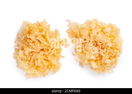 Getrockneter Schneepilz, auch bekannt als Schneeohr, weißer Gelee-Pilz, silberner Holz-Ohrpilz isoliert auf weißem Hintergrund, Schneideweg ausgeschnitten. Stockfoto