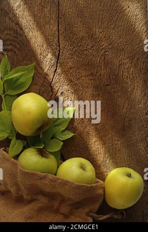 Herbst rustikale Ernte Grenze mit Morgenlicht. Grüne Äpfel und Blätter in Leinenbeutel auf alten antiken Holztisch. Thanksgiving Konzept Stockfoto