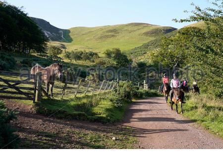 Edinburgh, Schottland, Großbritannien. September 2020. Pony Trekking und Sonnenbaden im Pentland Hills Regional Park an einem klaren Tag mit blauem Himmel. Kredit: Craig Brown/Alamy Live Nachrichten Stockfoto