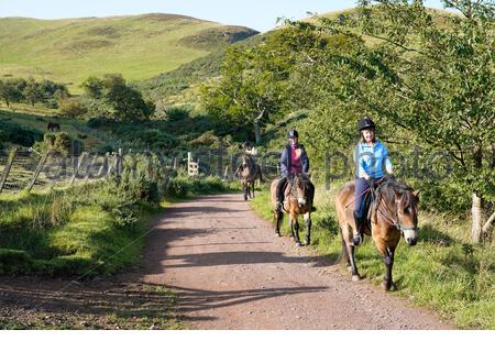 Edinburgh, Schottland, Großbritannien. September 2020. Pony Trekking und Sonnenbaden im Pentland Hills Regional Park an einem klaren Tag mit blauem Himmel. Kredit: Craig Brown/Alamy Live Nachrichten Stockfoto