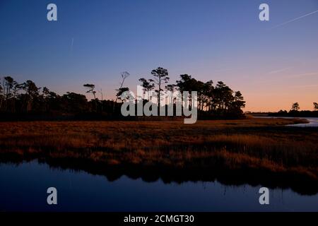 Sonnenuntergang im Blackwater Wildlife Refuge Maryland, mit einer Silhouette aus Sümpfen, Bäumen und hohem Gras. Stockfoto