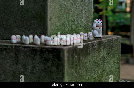 Blick auf eine Linie japanischer Maneki-Neko-"winkende Katze"-Figuren, die um die Ecke der Basis einer steinernen Laterne im Gotokuji-Tempel in Tokio kurvenieren Stockfoto