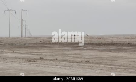 Landschaft um Dehistan, Mashhad-e Mirsriyyan, Balkan-Region, Turkmenistan Stockfoto