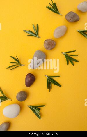 Mehrfarbige Seesteine und Blätter von frischem Rosmarin auf einem hellgelben Hintergrund. Stockfoto