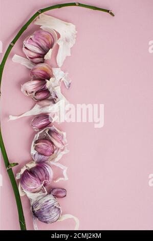 Nelken roten Knoblauch und grünen Zweig auf einem hellrosa Hintergrund. Stockfoto