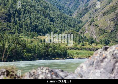 Ein malerischer Blick auf den Fluss Katun vor dem Hintergrund der Berge mit einem grünen Wald von Nadelbäumen an einem Sommertag. Ein beliebter Tourist d Stockfoto