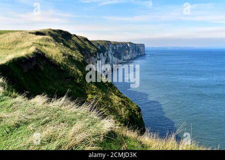 Die Kreidefelsen bei Bempton. Stockfoto