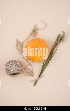 Orangefarbene Kürbis-Nahaufnahme auf hellem pastellfarbenem Hintergrund, verziert mit trockenen Kräutern und einem garnstrang. Stockfoto