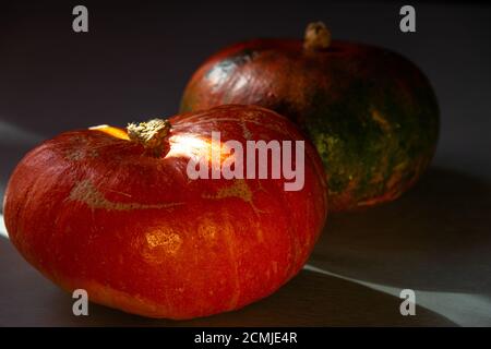 moody Kürbis oder Squash Herbst Konzept Hintergrundbeleuchtung mit gelben Blättern. Stockfoto