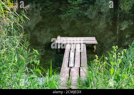 Holzmauerwerk zum Angeln, unter grünen Pflanzen auf einem Teich, an einem warmen Tag Stockfoto