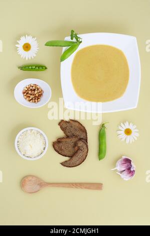 Cremesuppe aus jungen Stöcken auf einem weißen Teller und Zutaten auf hellgrünem pastellfarbenem Hintergrund. Stockfoto