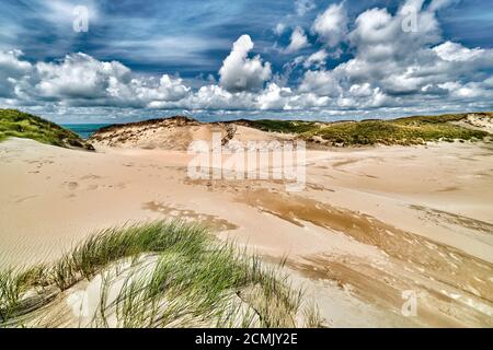 Holländische Dünen, mit Beach Grass gezüchtet, mit einem weiten Winkel an einem sonnigen bewölkten Tag aufgenommen. Stockfoto