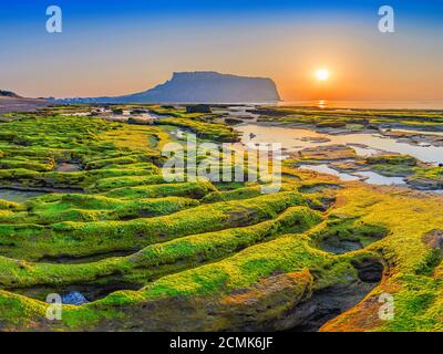 Sonnenaufgang auf Jeju-Do Seongsan Ilchulbong, Insel Jeju, Südkorea Stockfoto