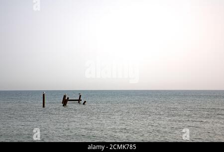 Verwelkter Holzbrecherposten isoliert über dem Meer an der Nord-Norfolk-Küste in Happisburgh, Norfolk, England, Vereinigtes Königreich. Stockfoto