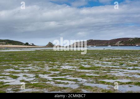 Bryher und Tresco auf den Isles of Scilly während einer Ebbe Stockfoto