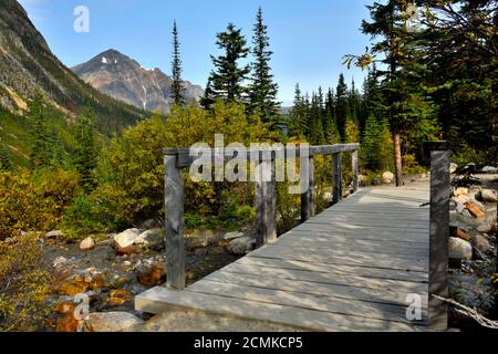 Eine Holzbrücke über einen kleinen Bach auf einem Wanderweg am Angel Glacier am Mount Edith Cavell im Jasper National Park Alberta Canada. Stockfoto