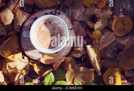 tasse schwarzen Kaffee mitten im Herbstlaub Stockfoto