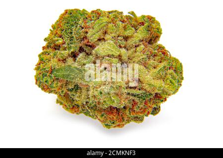 Draufsicht Nahaufnahme von Cannabis Blume Knospe auf einem Weiße Oberfläche Stockfoto
