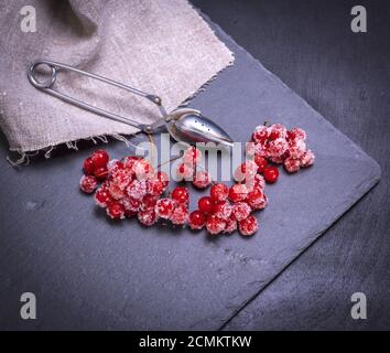 Reifen roten Beeren der viburnum ist bestreut mit Zucker Stockfoto