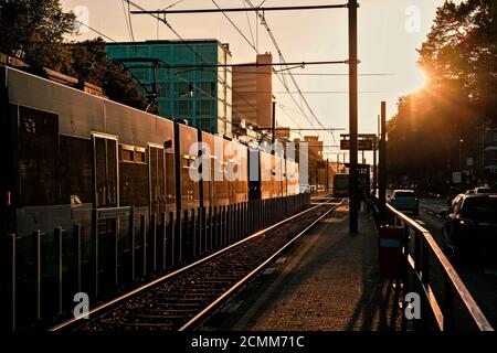 Eine Straßenbahnplattform im gelben Morgenlicht mit glänzenden Bahngleisen mit Straßenbahn im sonnigen Rücklicht. Stockfoto