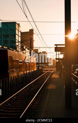 Eine Straßenbahnplattform im gelben Morgenlicht mit glänzenden Bahngleisen mit Straßenbahn im sonnigen Rücklicht. Stockfoto