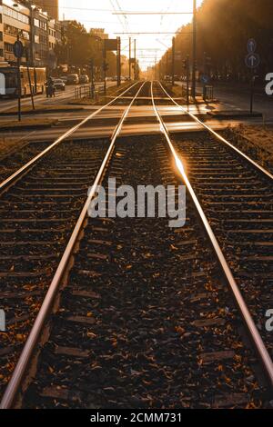 Gleise und Oberleitungen der Stadtbahn in warmem Rücklicht in der Mitte einer großen Stadtstraße. Stockfoto