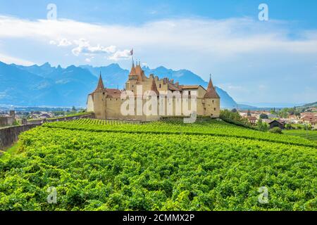 Chateau d'Aigle im Kanton Waadt, Schweiz. Aigle Castle mit Blick auf die umliegenden terrassenförmig angelegten Weinberge und Schweizer Alpen. Reihen von Reben wachsen während der Stockfoto