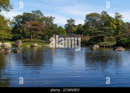 Brücke und Teich im Garten des Phoenix (Osaka Garden) in Chicago, IL Stockfoto