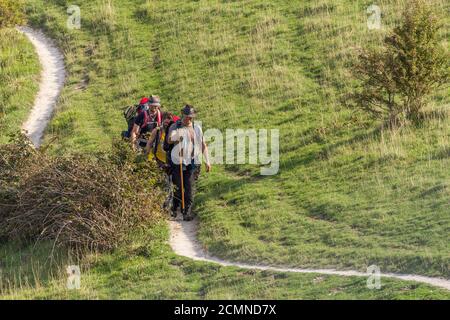 Wanderer beladen mit Rucksäcken auf schmalen kurvigen Fußwegen zu cissbury Ring Iron Age Hill Fort in den southdowns in der Nähe von Findon West sussex. Stockfoto