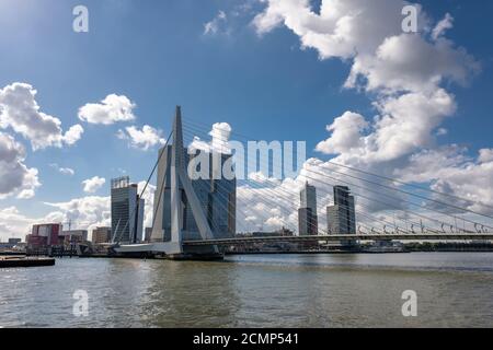 ROTTERDAM, NIEDERLANDE Blick auf die Erasmus-Brücke und den Hafen von Rotterdam. Die Erasmus-Brücke ist eine der Ikonen von Rotterdam in Rotterdam, Niederlande Stockfoto