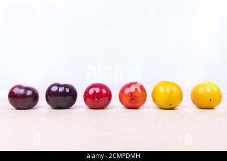 Rote, gelbe Pflaumenfrucht Nahaufnahme auf dem weißen Hintergrund isoliert Stockfoto