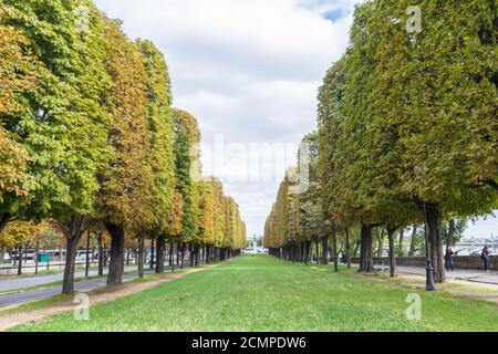 Von Bäumen gesäumte Promenade du Cours La reine in Paris Stockfoto