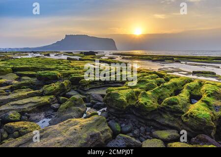 Insel Jeju Südkorea, Seongsan Ilchulbong Landschaft bei Sonnenaufgang Stockfoto