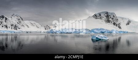 Am frühen Morgen auf der Insel Danco auf der antarktischen Halbinsel. Majestätische Berge führen einen Gletscher in Richtung eines ruhigen Meeres. Stockfoto